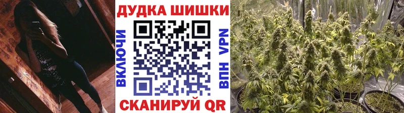 Альфа ПВП Бердск
