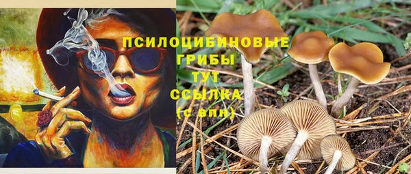 скорость Карпинск