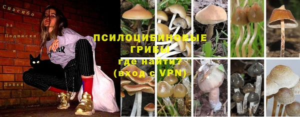 ешки Касимов