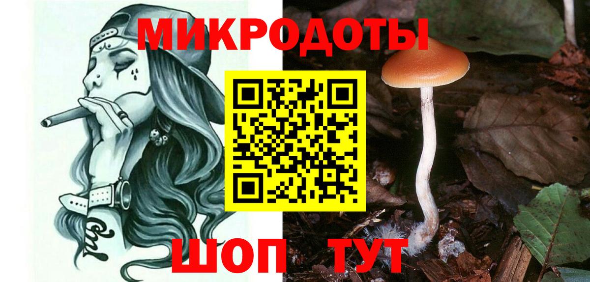 Псилоцибиновые грибы ЛСД  Псилоцибиновые грибы ЛСД  дарнет шоп  Бердск  Вход с VPN 