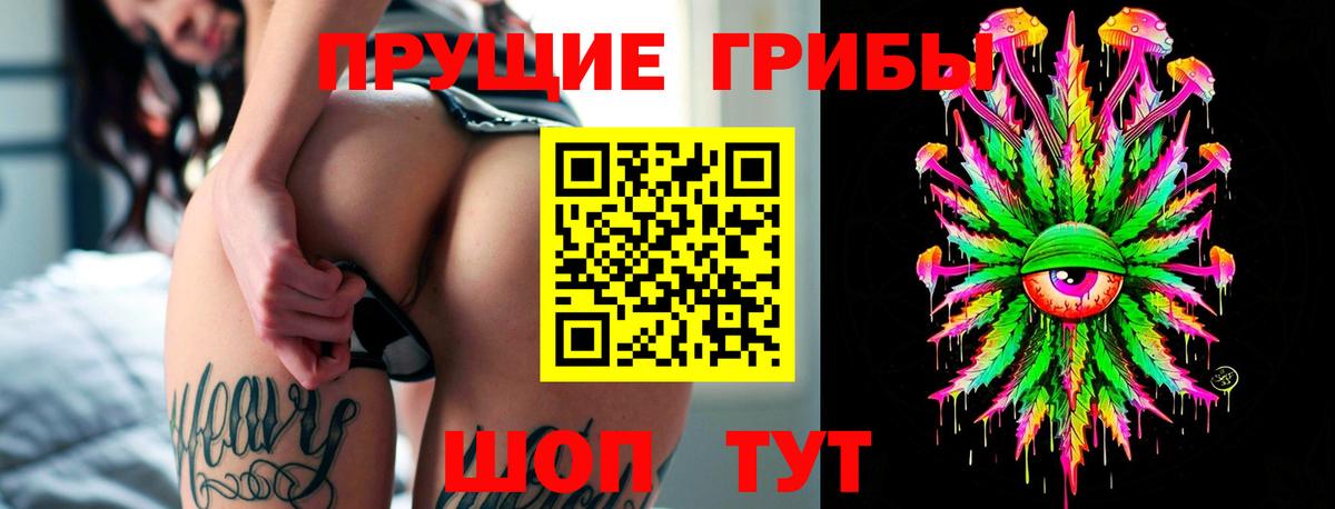 Галлюциногенные грибы Psilocybe  Бердск 