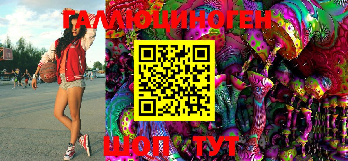 Галлюциногенные грибы Psilocybe Бердск